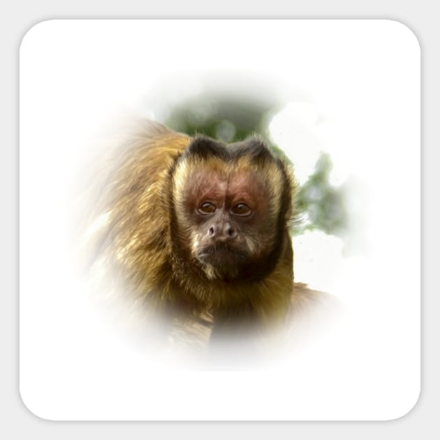 Tufted capuchin Sticker by Guardi